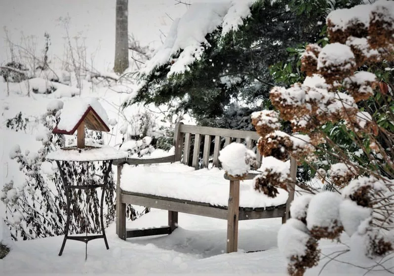 garden furniture in winter